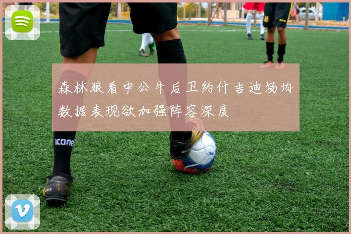 森林狼看中公牛后卫约什吉迪场均数据表现欲加强阵容深度